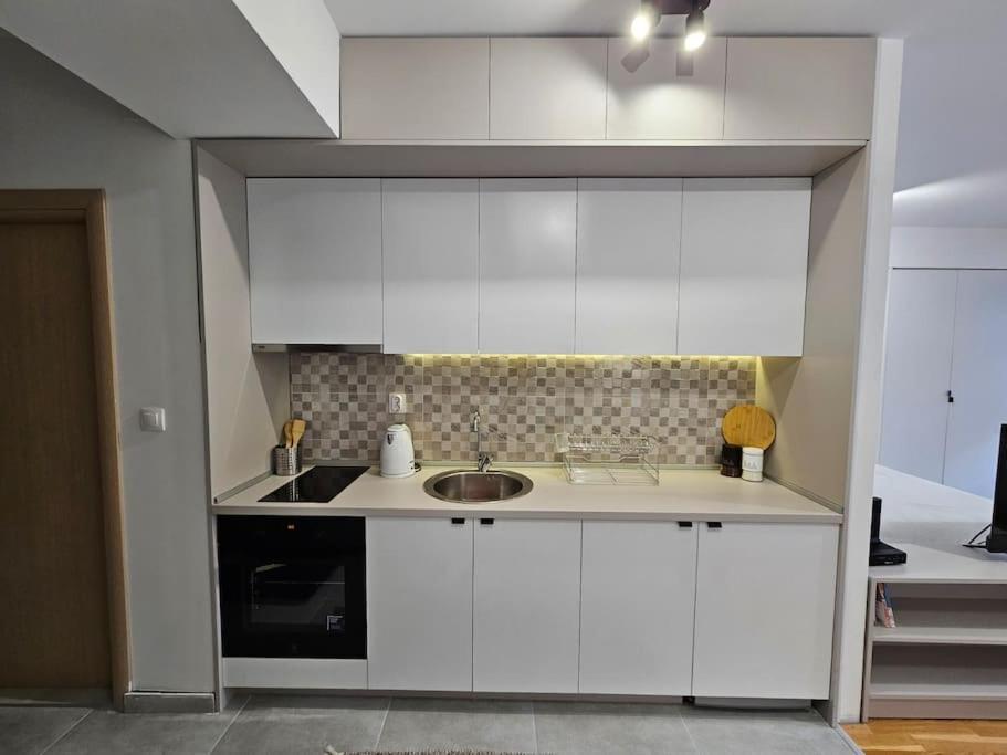 Milo Apartment スコピエ エクステリア 写真