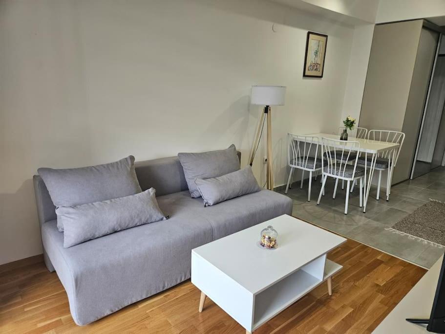 Milo Apartment スコピエ エクステリア 写真